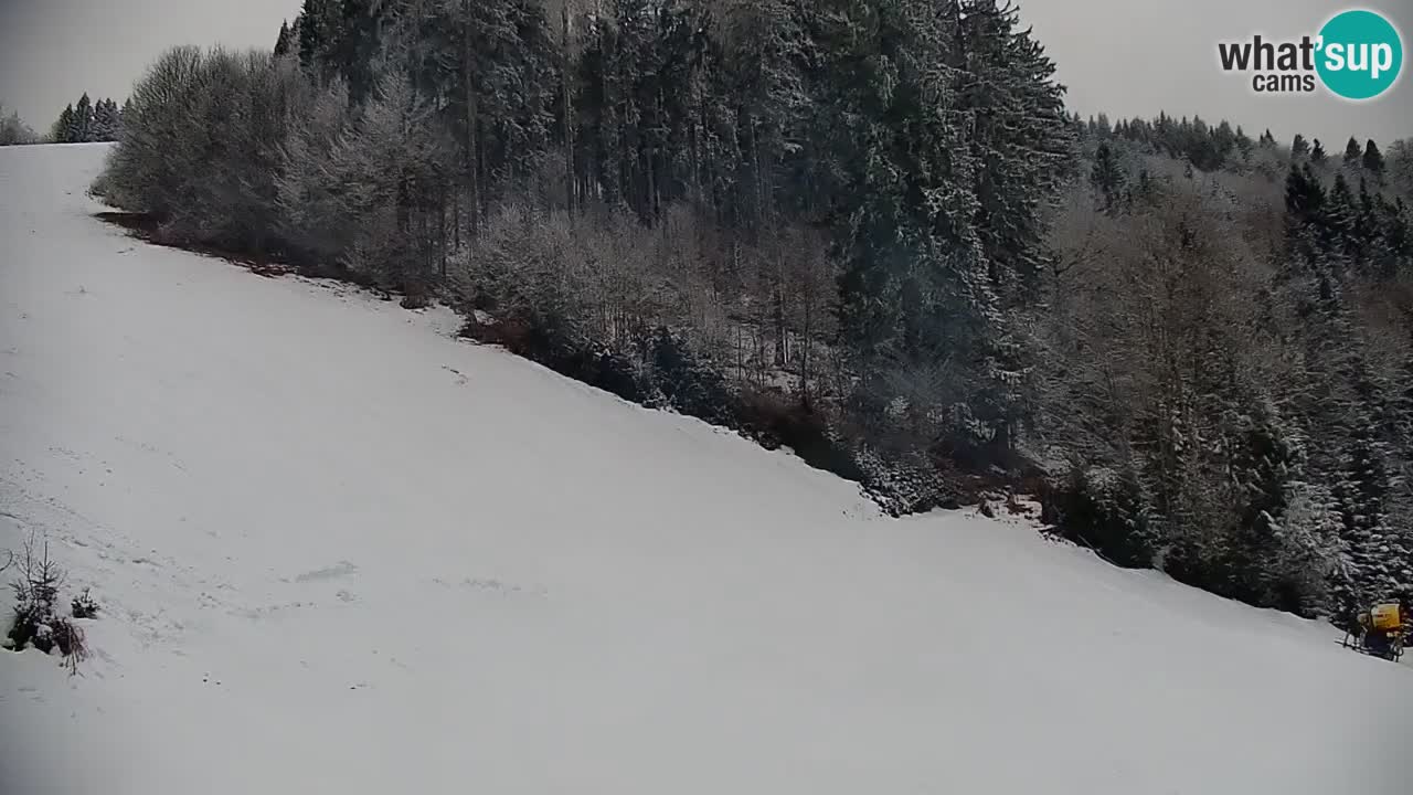 Skijalište Stari Vrh Web kamera uživo – Slovenija