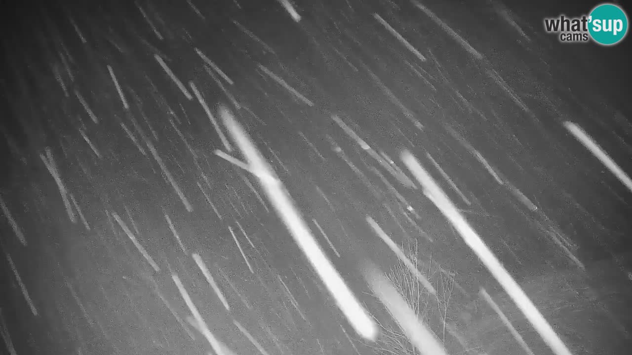 Skigebiet Stari Vrh Live Webcam – Slowenien