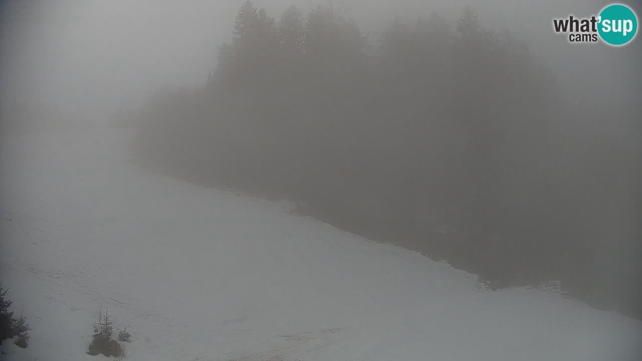 Stazione sciistica di Stari Vrh Webcam in diretta – Slovenia
