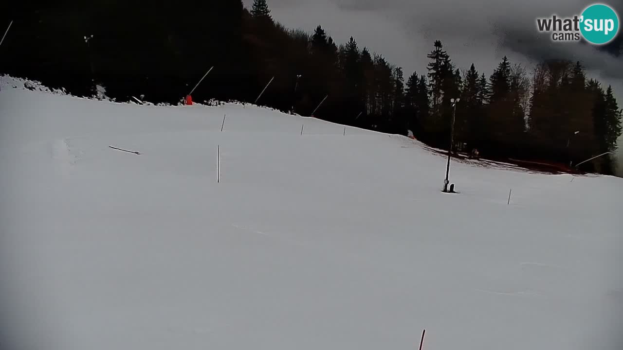 Estación de esquí Stari Vrh Cámara web en vivo – Eslovenia