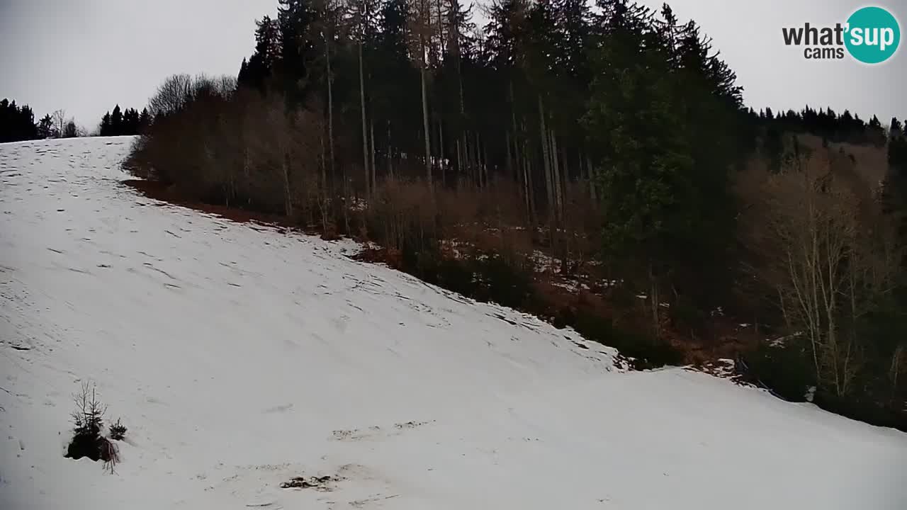 Smučišče Stari Vrh Spletna kamera – vrtljiva