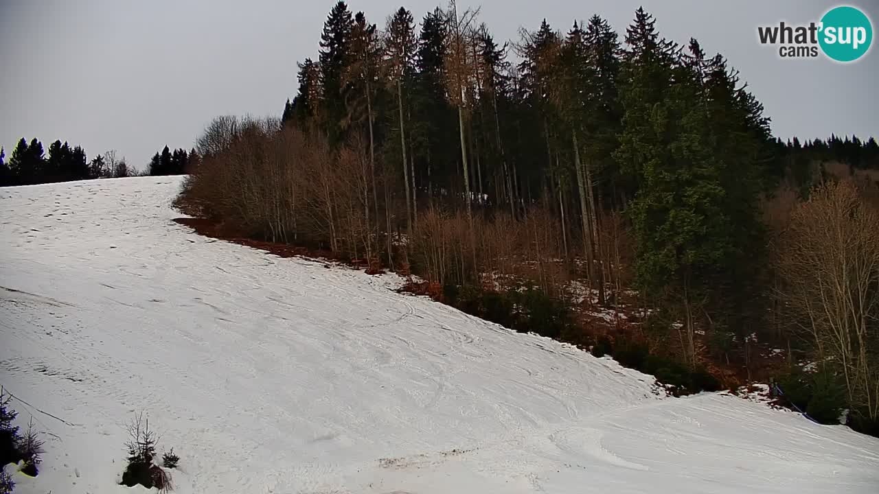 Stazione sciistica di Stari Vrh Webcam in diretta – Slovenia