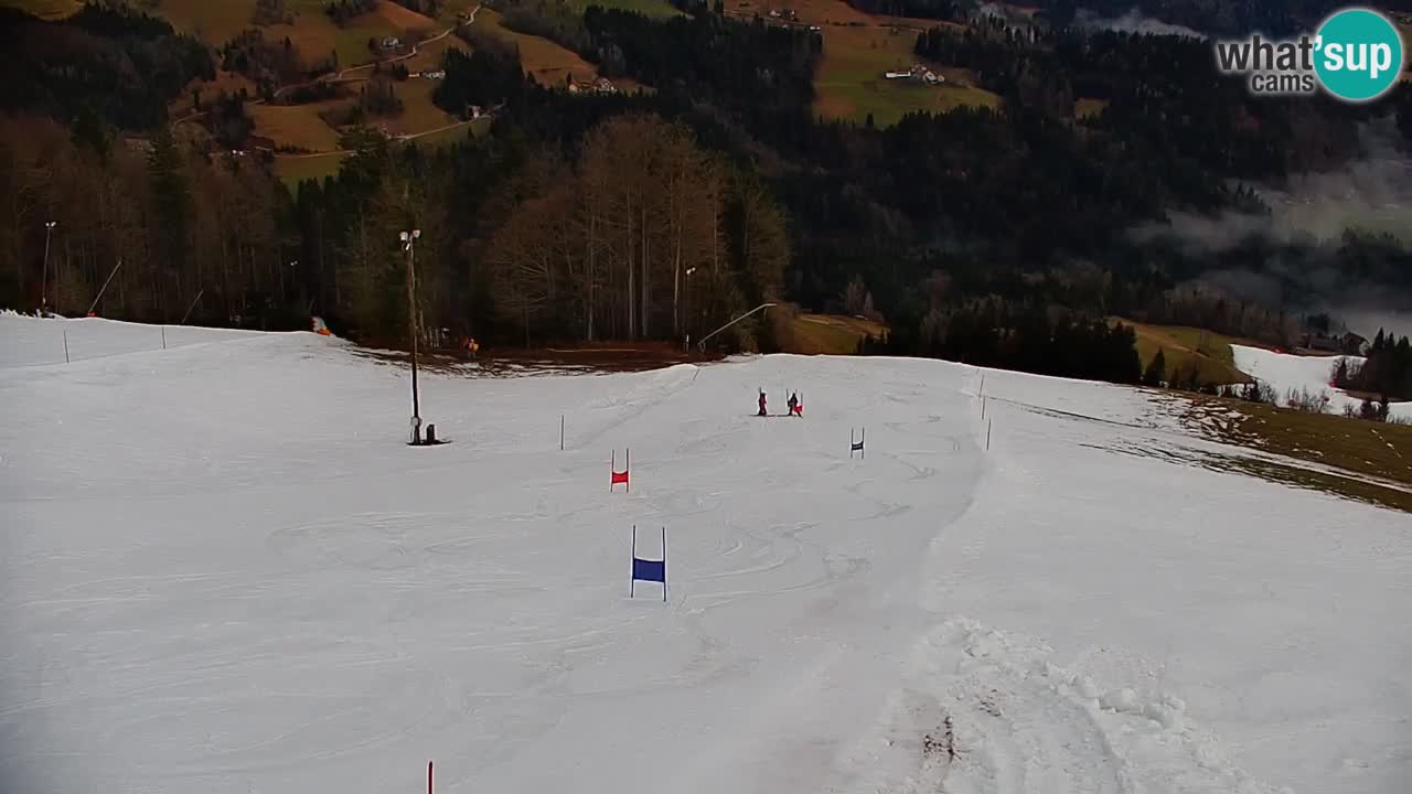 Smučišče Stari Vrh Spletna kamera – vrtljiva