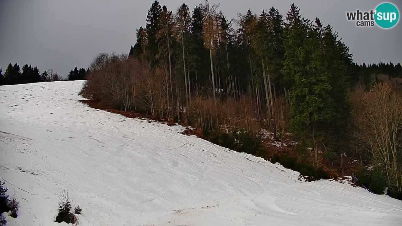 Webcam en direct de la station de ski de Stari Vrh – Slovénie