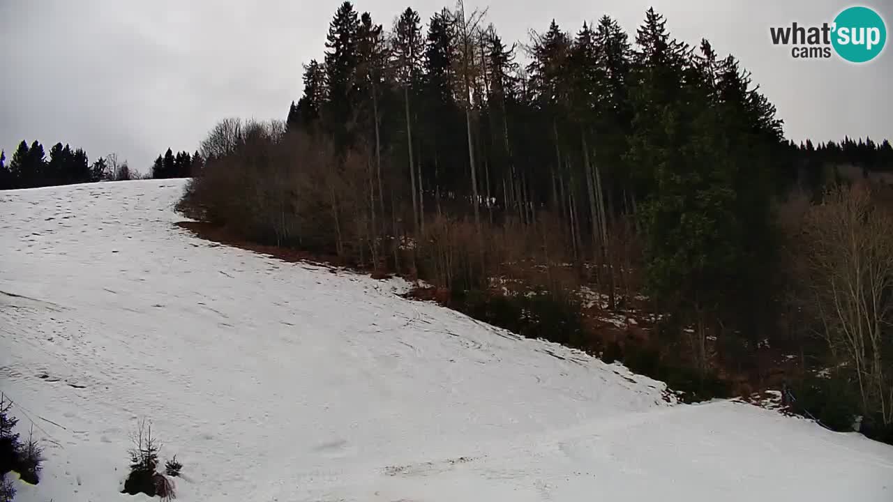 Stari Vrh Ski resort Live webcam – Slovenia
