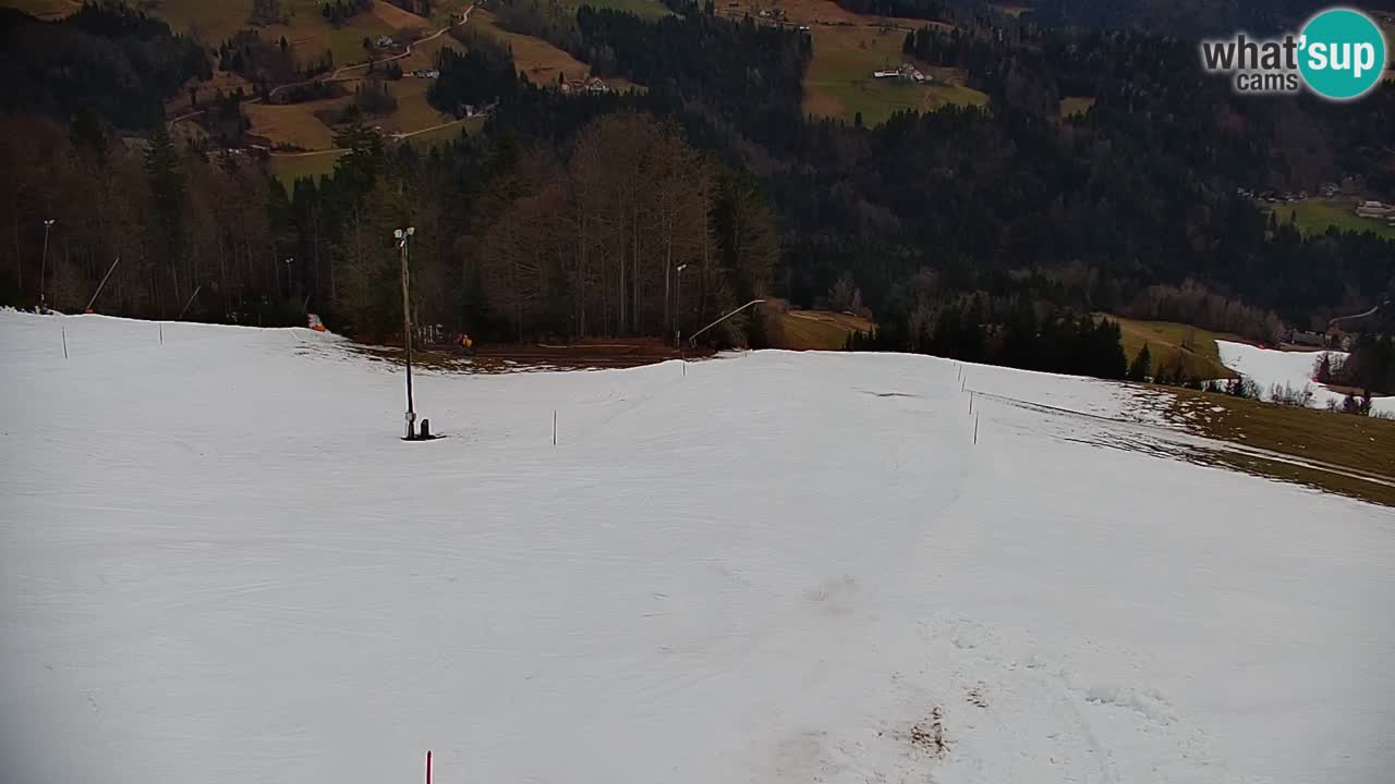 Skijalište Stari Vrh Web kamera uživo – Slovenija
