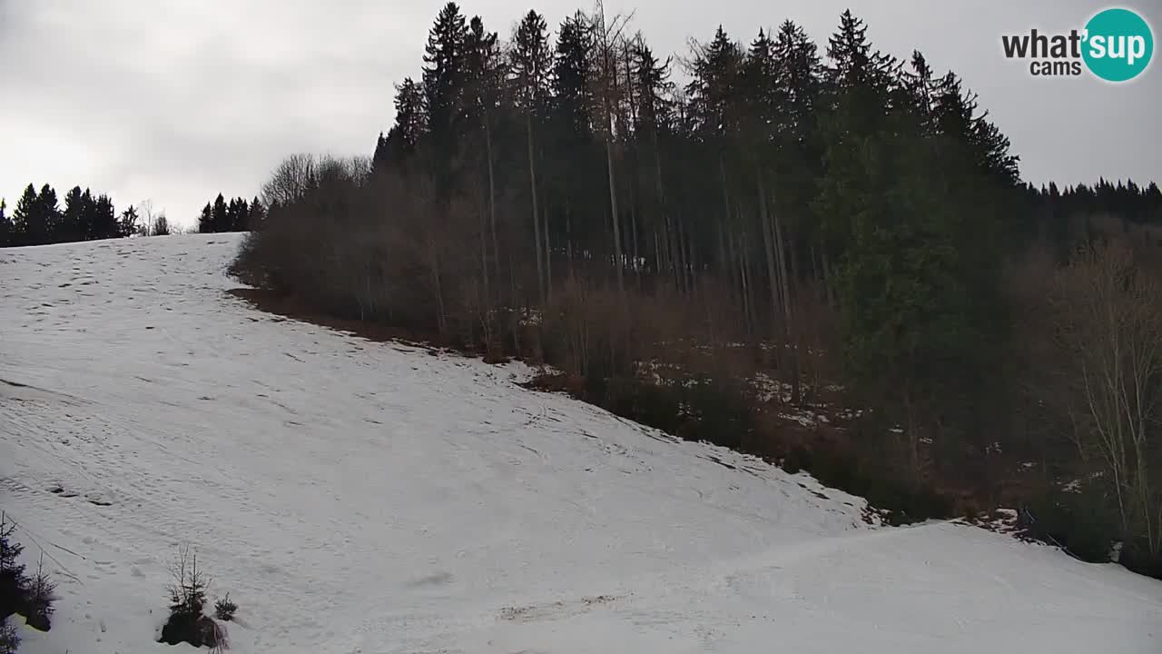 Stari Vrh Ski resort Live webcam – Slovenia