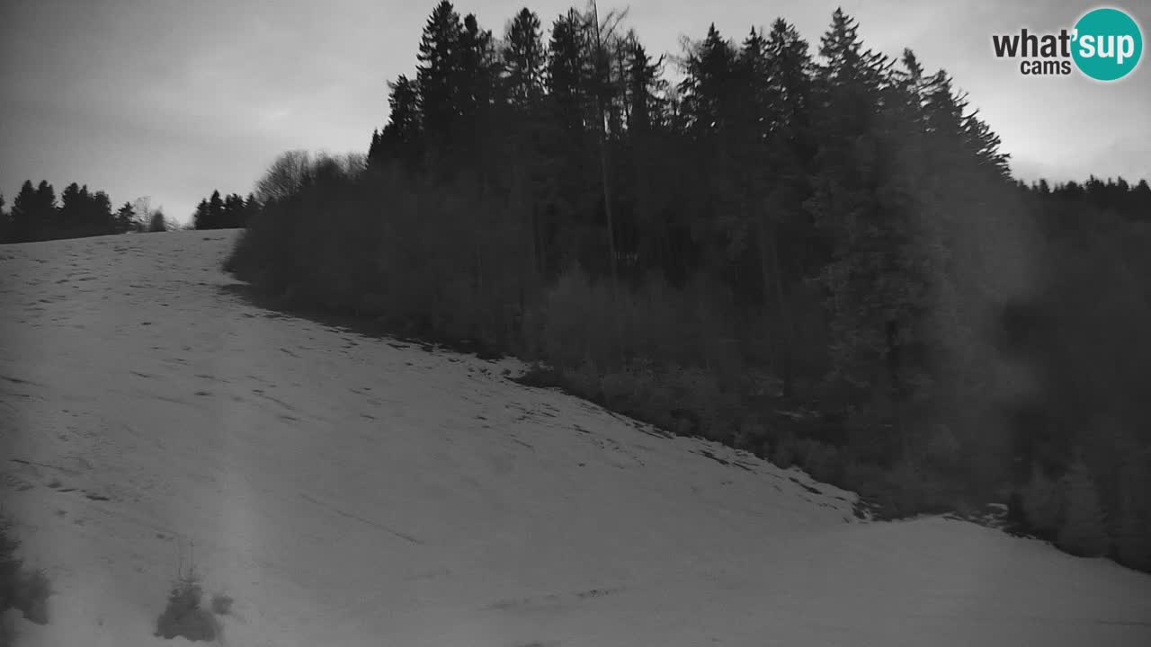 Estación de esquí Stari Vrh Cámara web en vivo – Eslovenia
