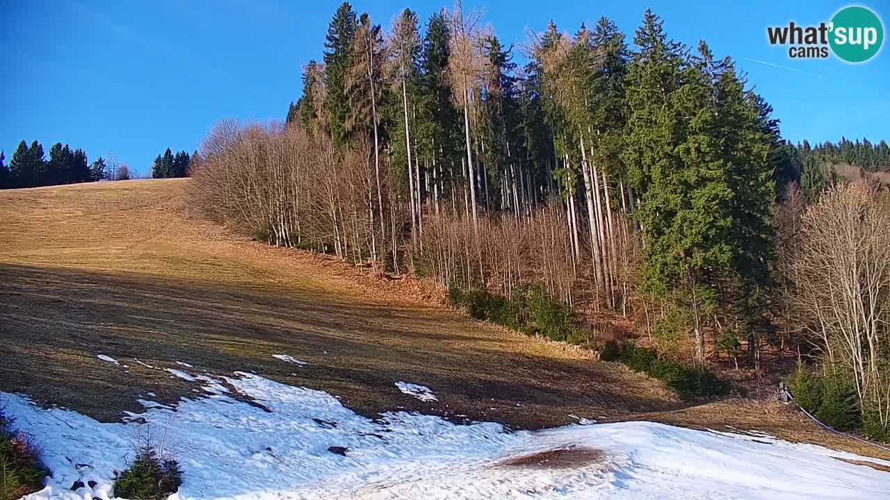 Smučišče Stari Vrh Spletna kamera – vrtljiva