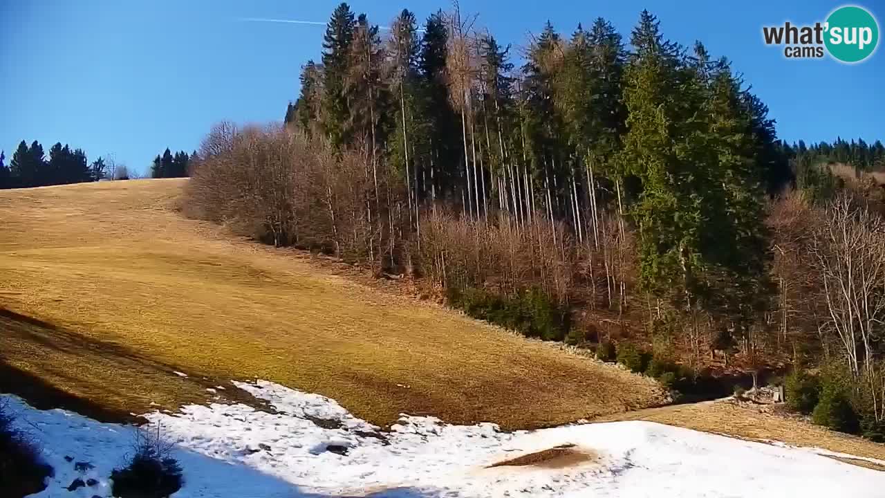 Estación de esquí Stari Vrh Cámara web en vivo – Eslovenia