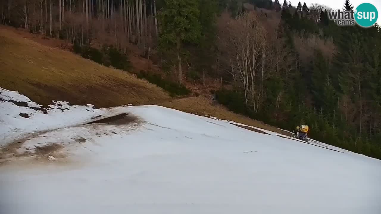 Skijalište Stari Vrh Web kamera uživo – Slovenija