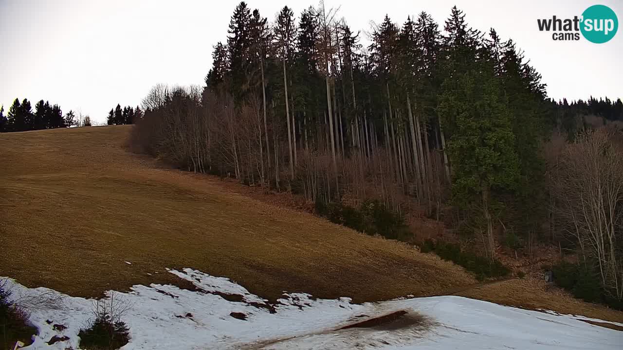 Estación de esquí Stari Vrh Cámara web en vivo – Eslovenia