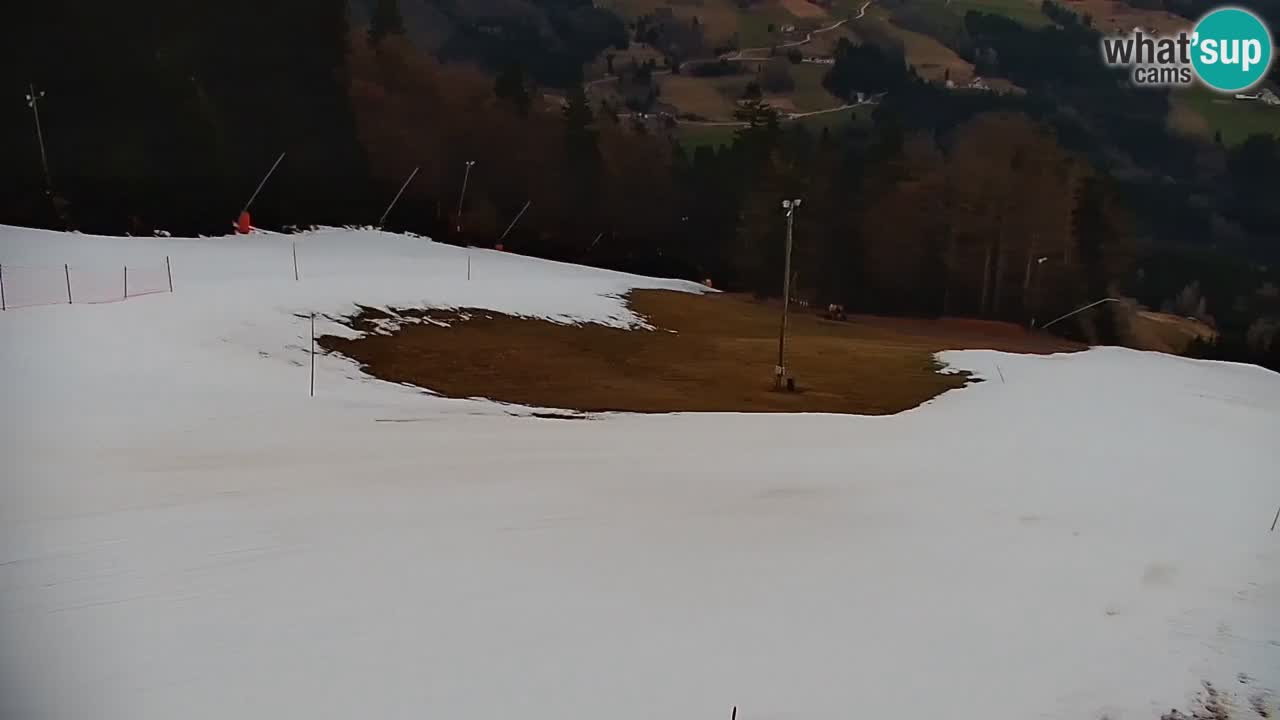 Stazione sciistica di Stari Vrh Webcam in diretta – Slovenia