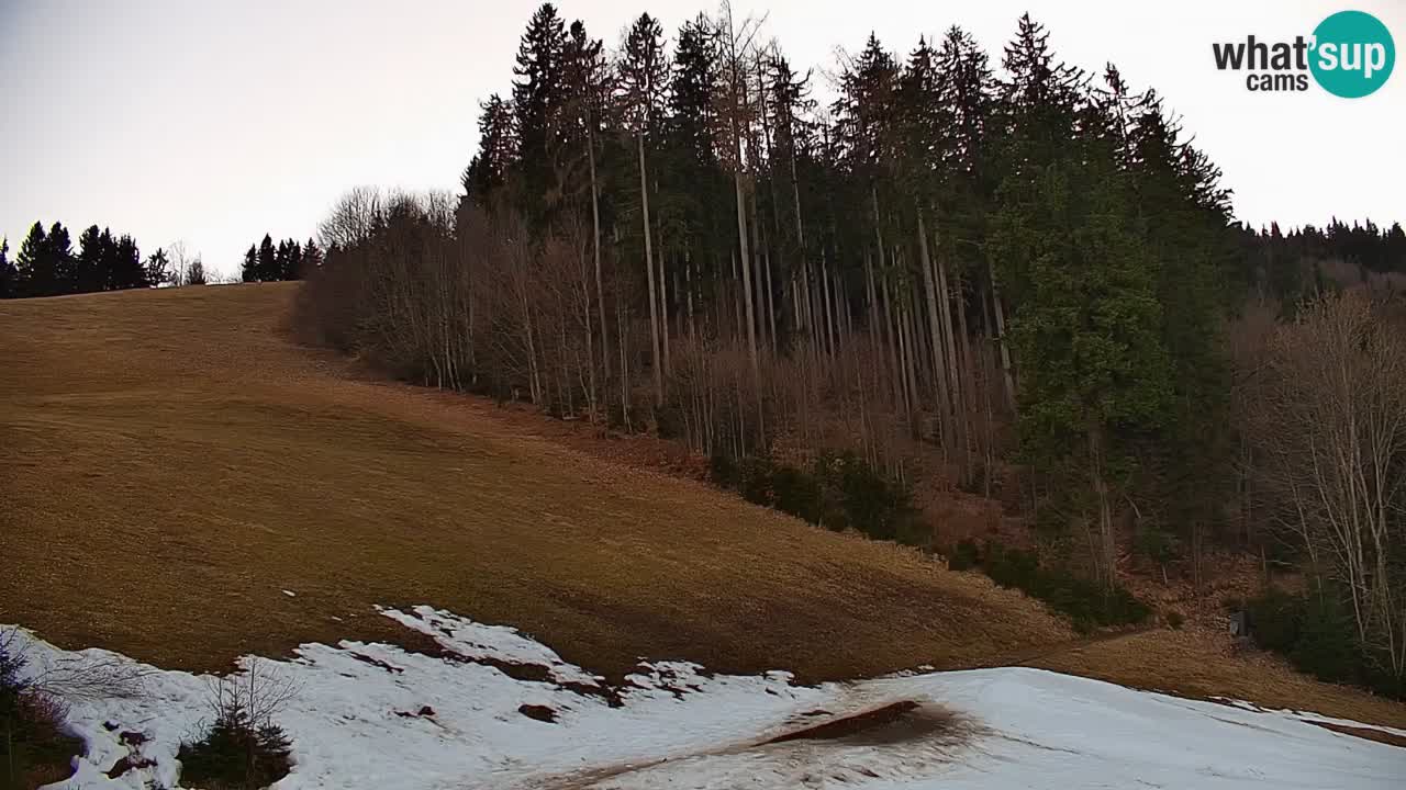 Stazione sciistica di Stari Vrh Webcam in diretta – Slovenia