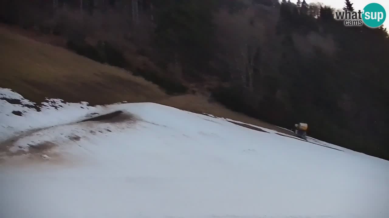 Skijalište Stari Vrh Web kamera uživo – Slovenija