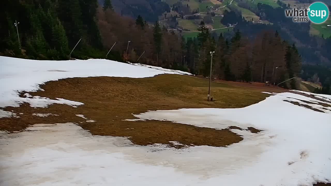 Stazione sciistica di Stari Vrh Webcam in diretta – Slovenia