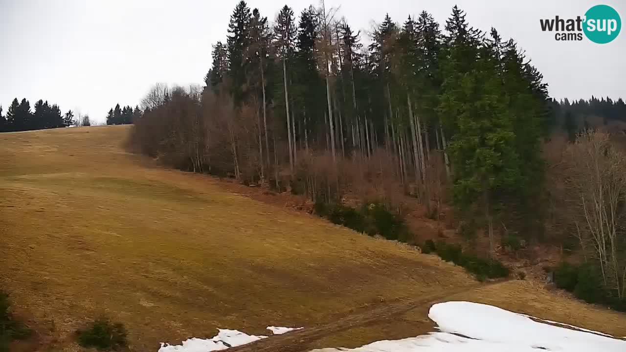 Stari Vrh Ski resort Live webcam – Slovenia