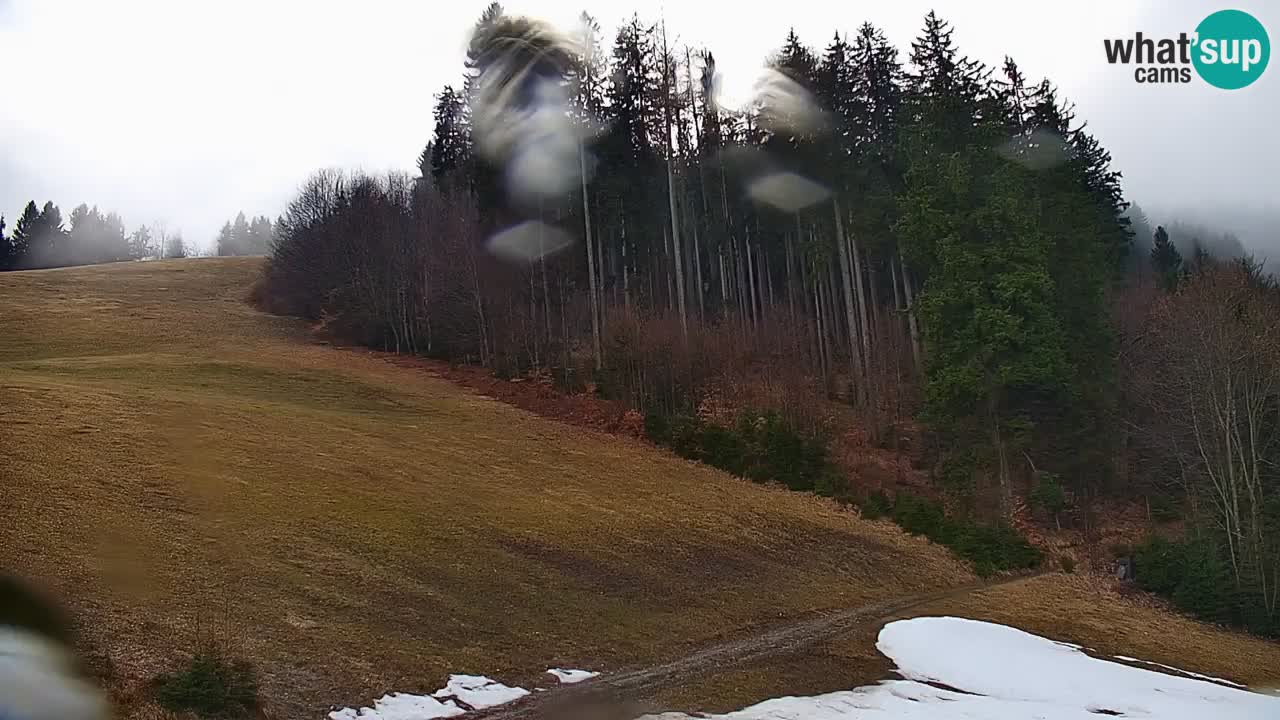 Skijalište Stari Vrh Web kamera uživo – Slovenija