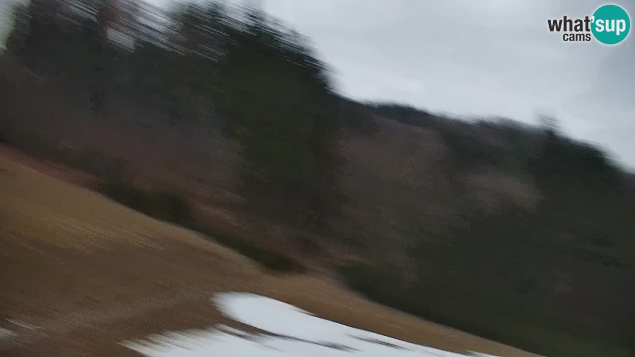 Stari Vrh Ski resort Live webcam – Slovenia