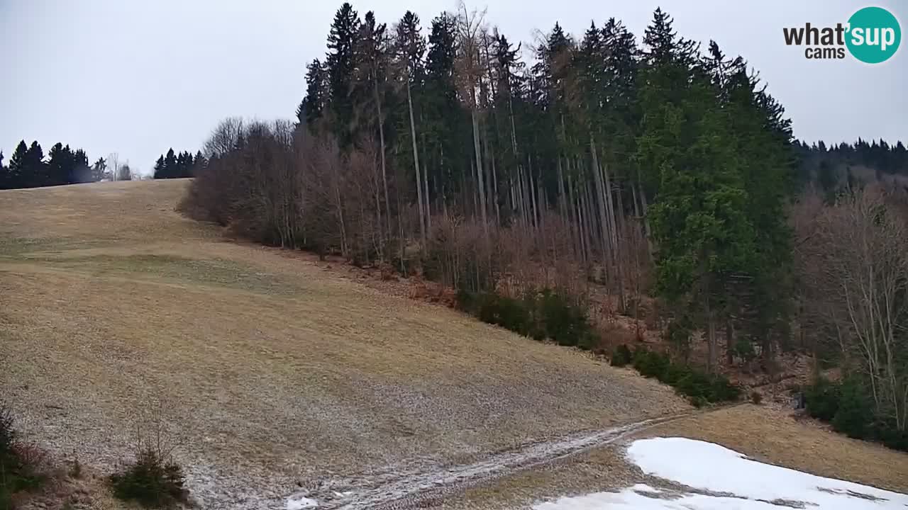 Stazione sciistica di Stari Vrh Webcam in diretta – Slovenia