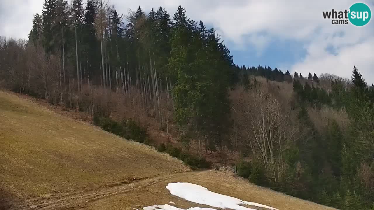 Stari Vrh Ski resort Live webcam – Slovenia