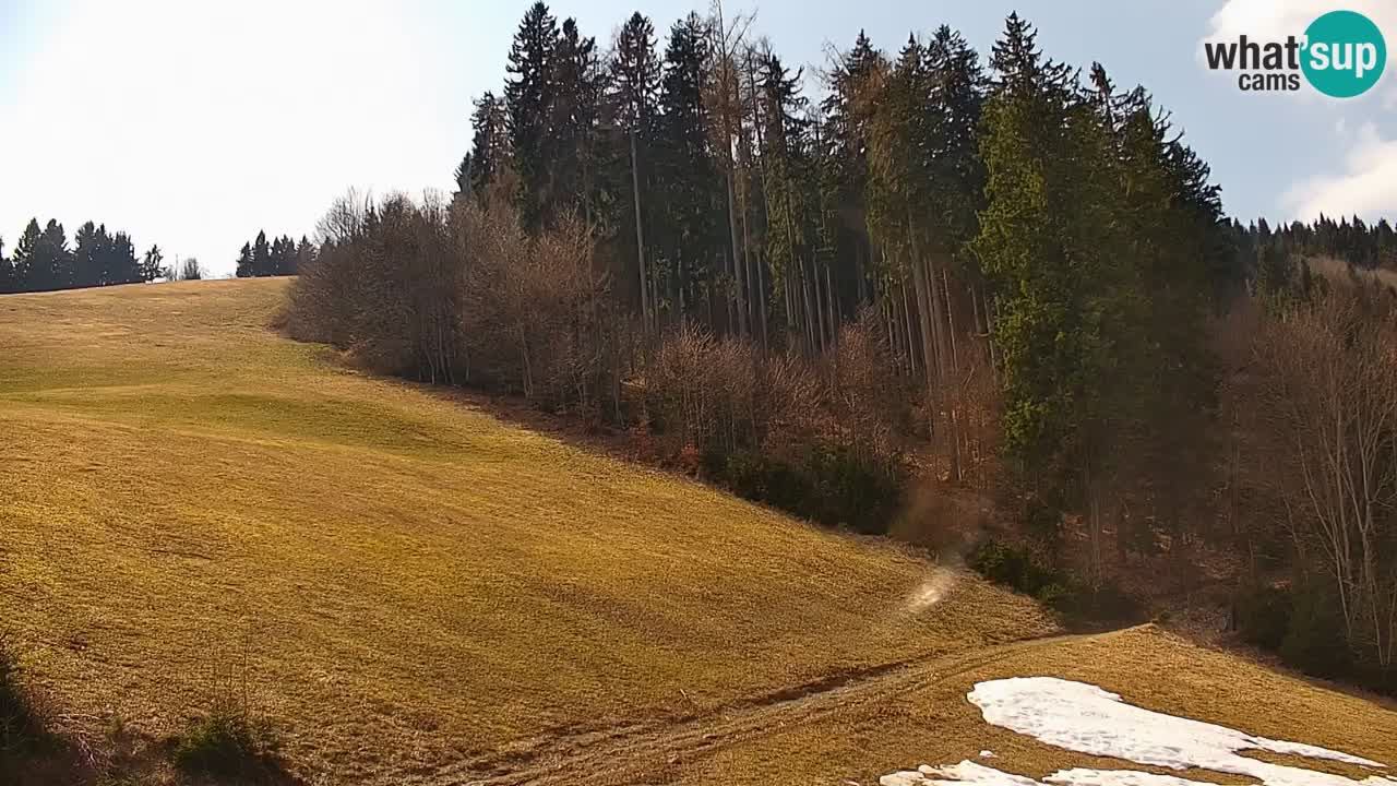 Skigebiet Stari Vrh Live Webcam – Slowenien
