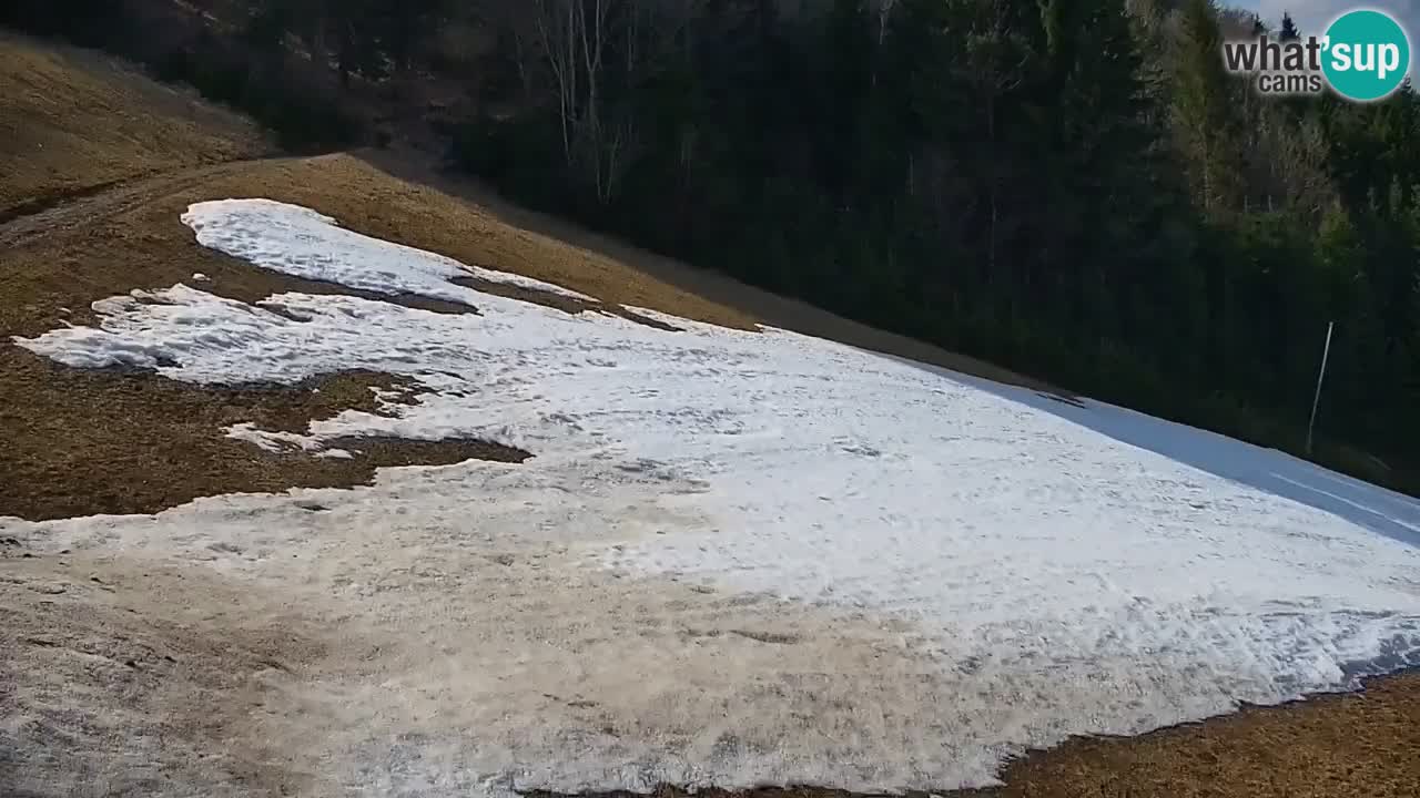 Estación de esquí Stari Vrh Cámara web en vivo – Eslovenia