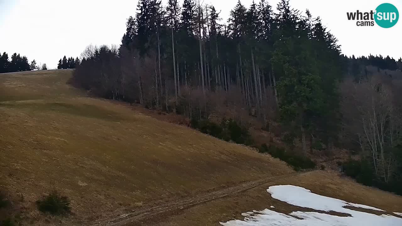 Estación de esquí Stari Vrh Cámara web en vivo – Eslovenia