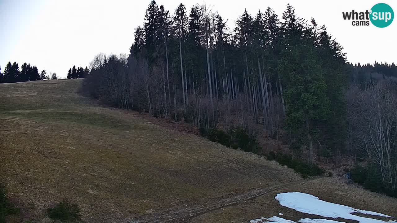Webcam en direct de la station de ski de Stari Vrh – Slovénie
