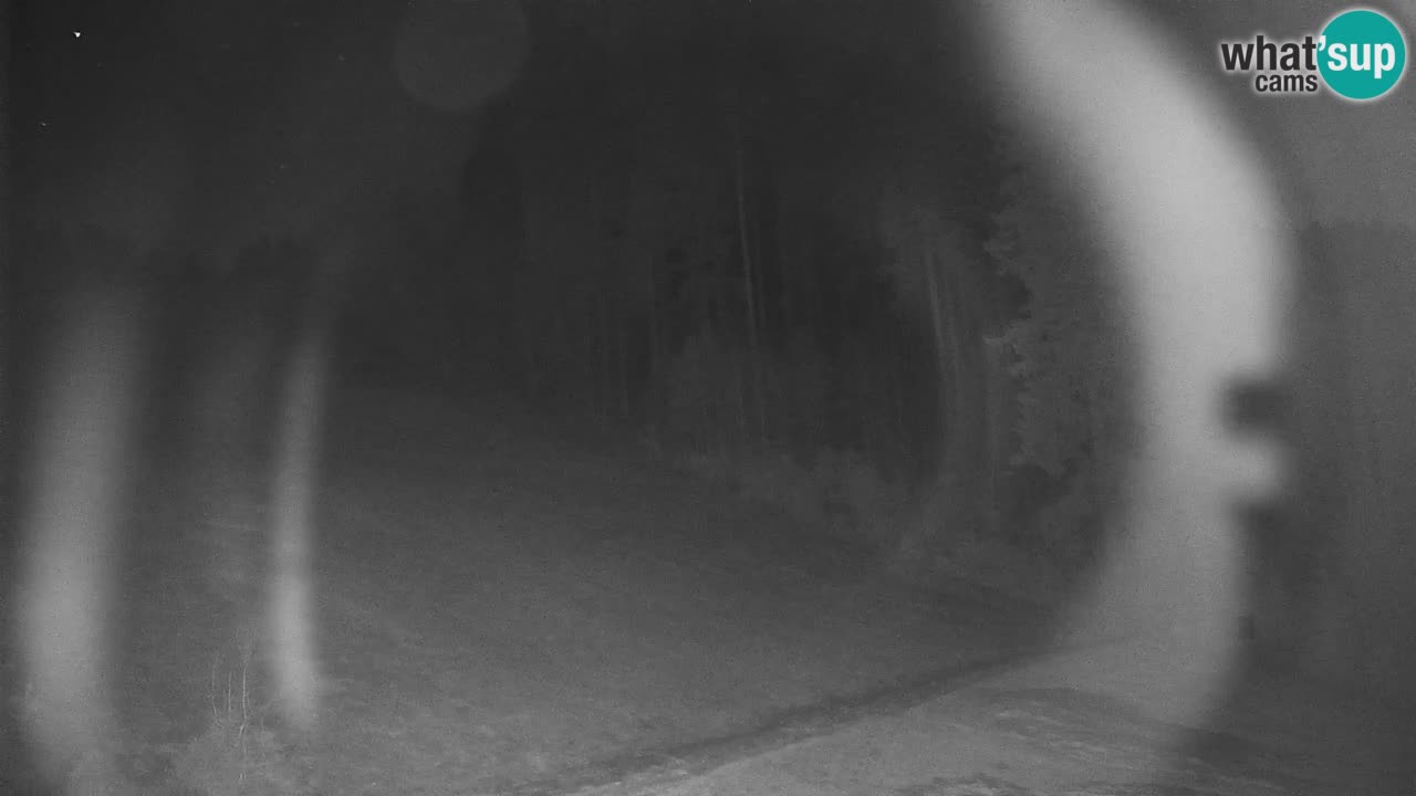 Stazione sciistica di Stari Vrh Webcam in diretta – Slovenia