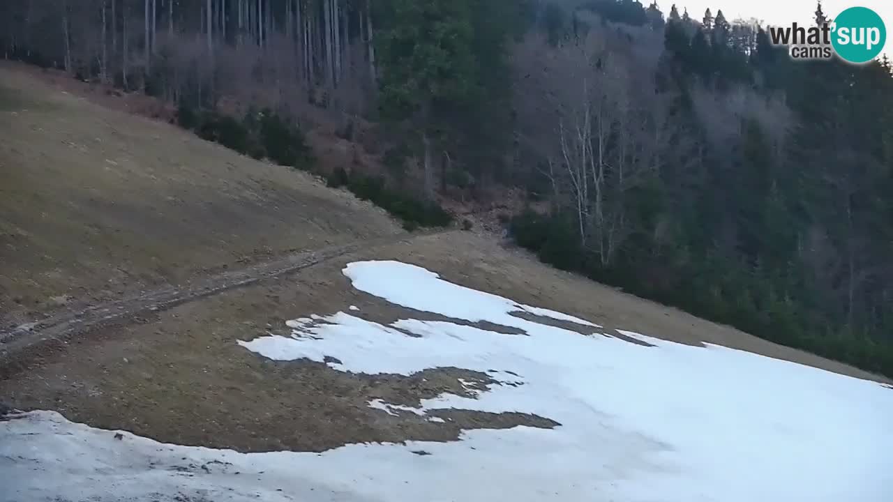 Webcam en direct de la station de ski de Stari Vrh – Slovénie