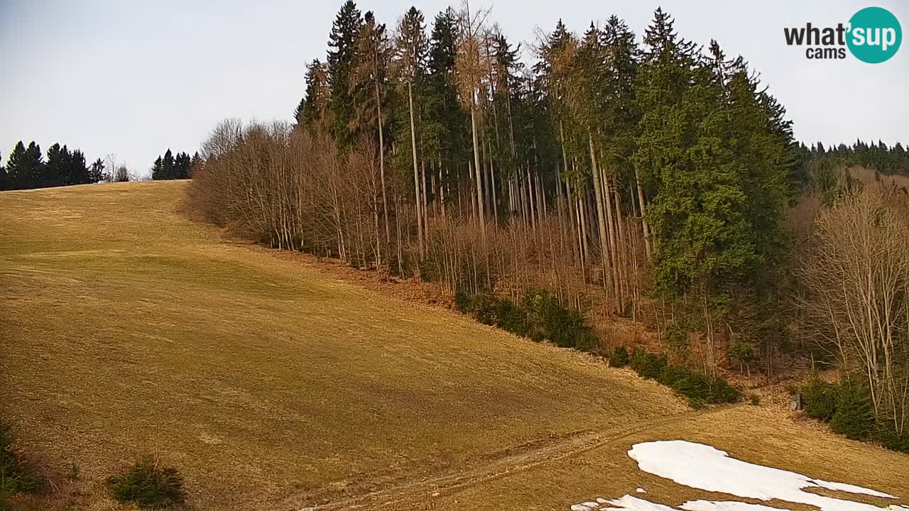 Skijalište Stari Vrh Web kamera uživo – Slovenija