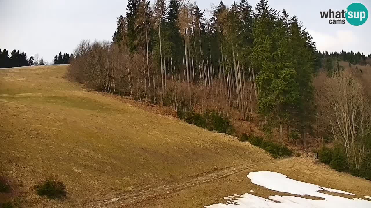 Skigebiet Stari Vrh Live Webcam – Slowenien