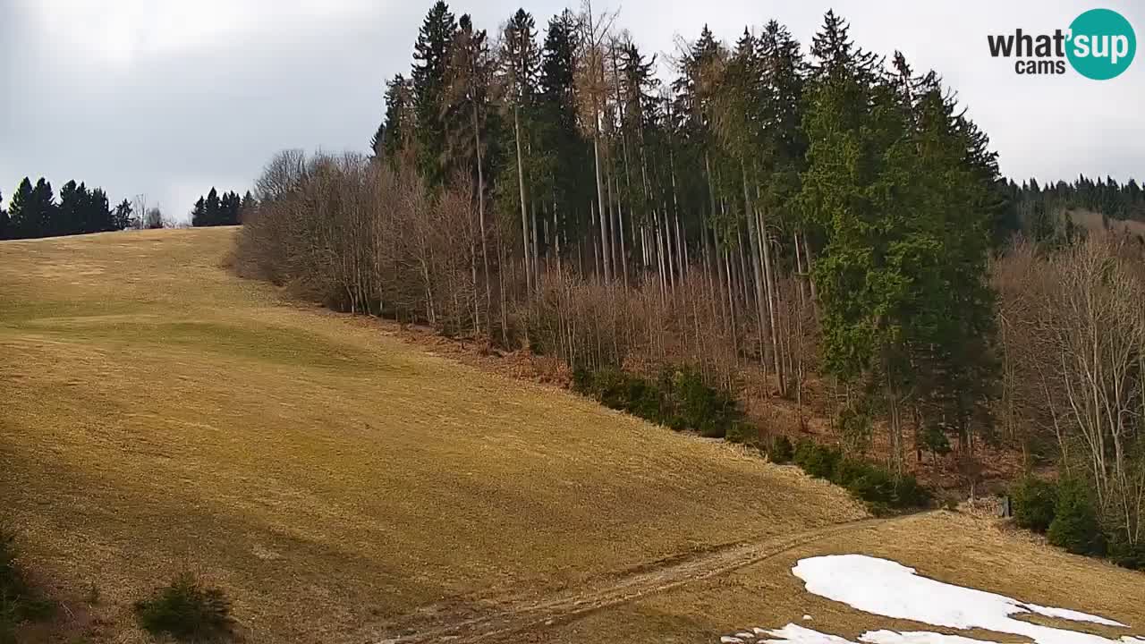 Webcam en direct de la station de ski de Stari Vrh – Slovénie