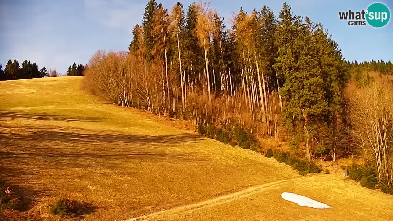 Smučišče Stari Vrh Spletna kamera – vrtljiva