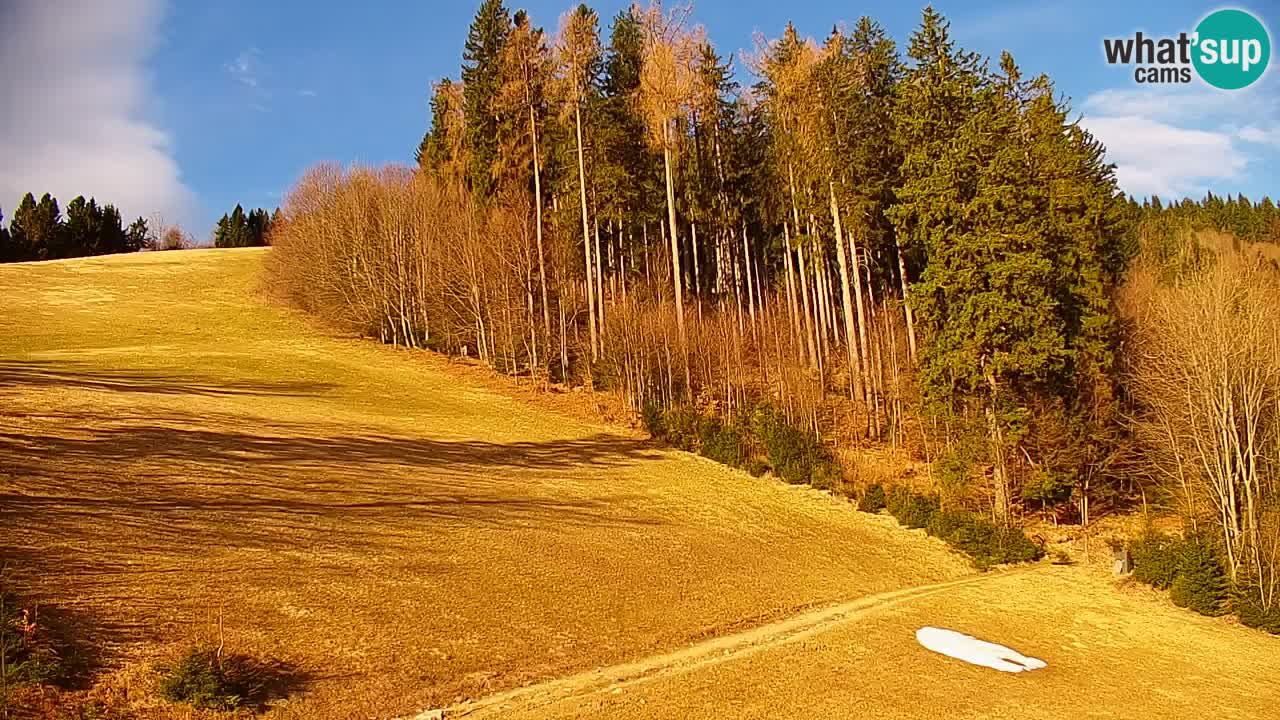 Skigebiet Stari Vrh Live Webcam – Slowenien