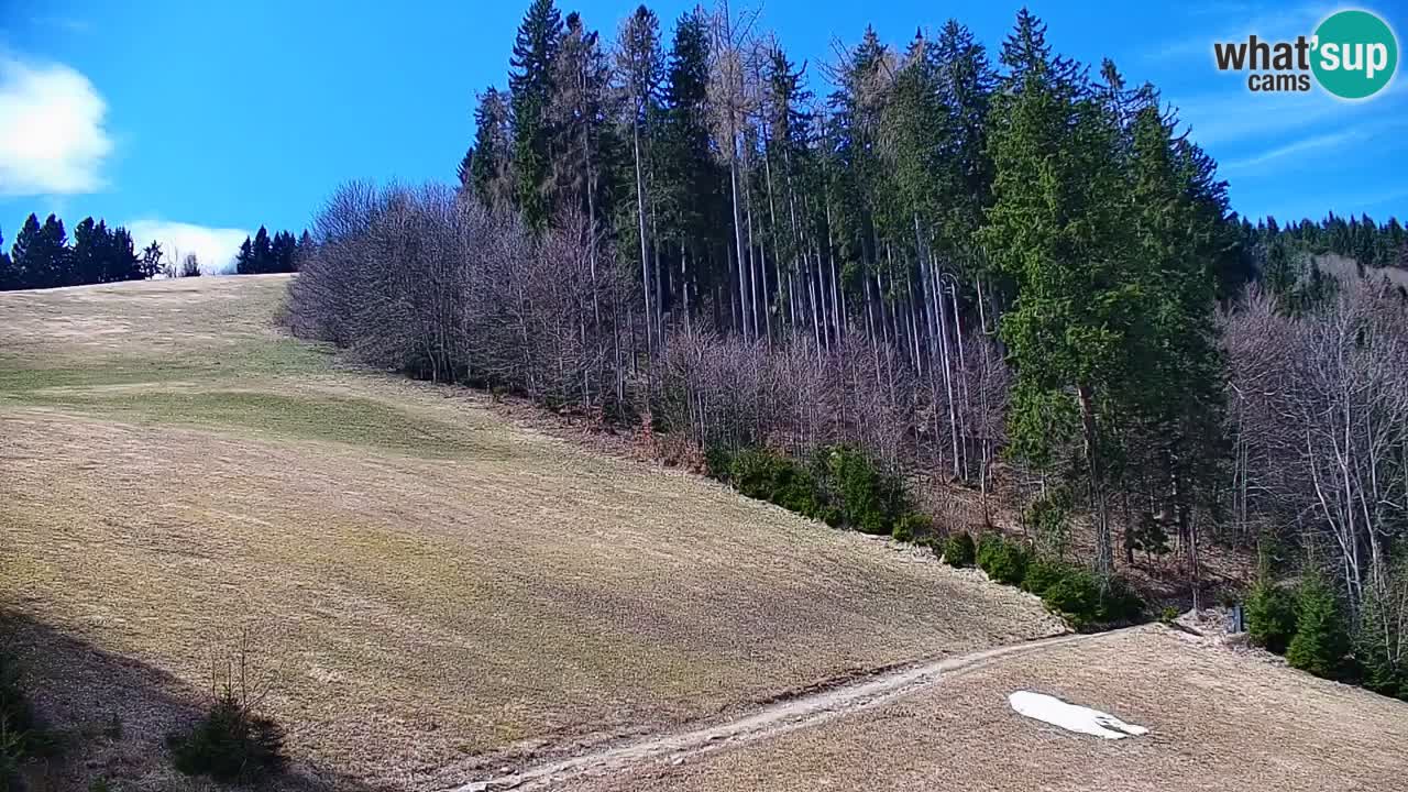 Stazione sciistica di Stari Vrh Webcam in diretta – Slovenia