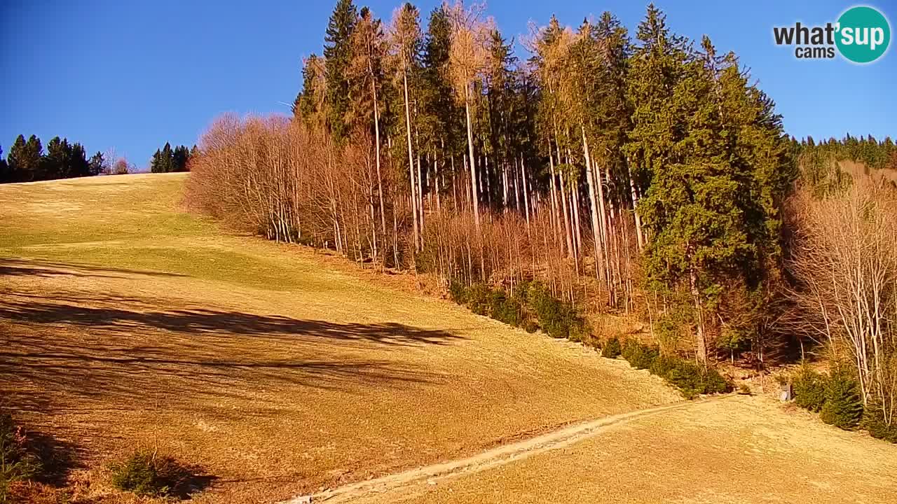 Stazione sciistica di Stari Vrh Webcam in diretta – Slovenia