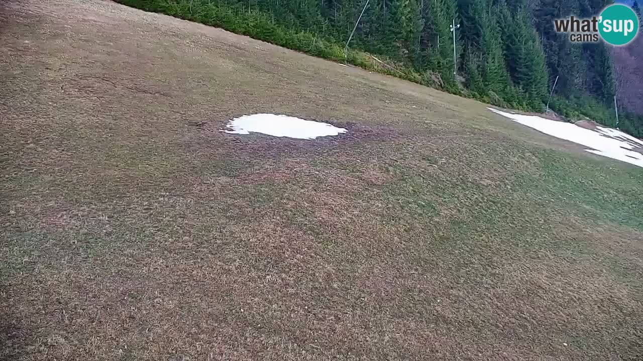 Stazione sciistica di Stari Vrh Webcam in diretta – Slovenia