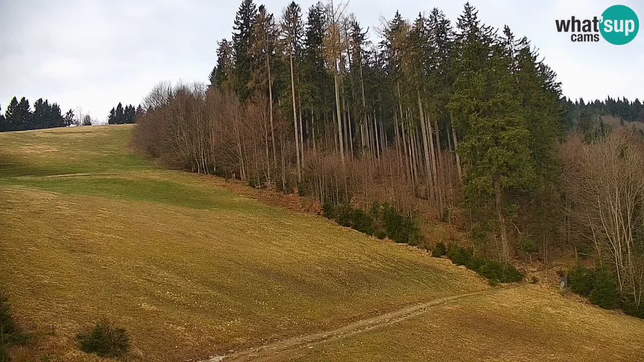 Webcam en direct de la station de ski de Stari Vrh – Slovénie