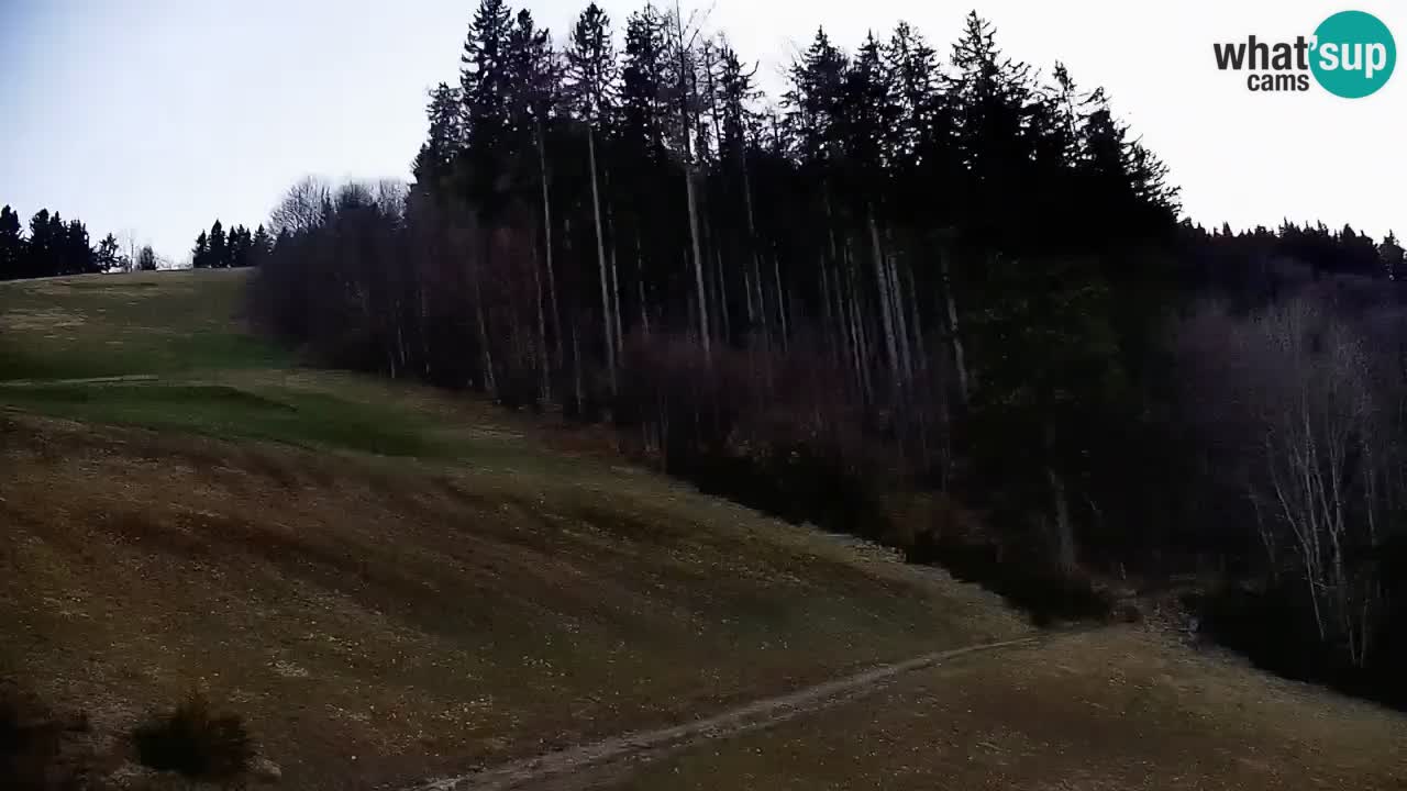 Stazione sciistica di Stari Vrh Webcam in diretta – Slovenia