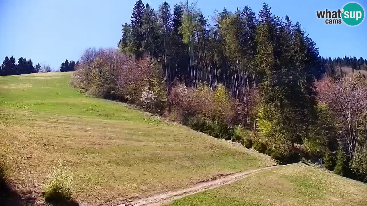 Skijalište Stari Vrh Web kamera uživo – Slovenija