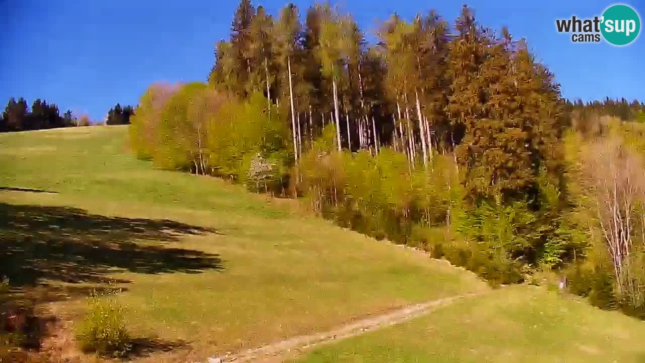 Stari Vrh Ski resort Live webcam – Slovenia
