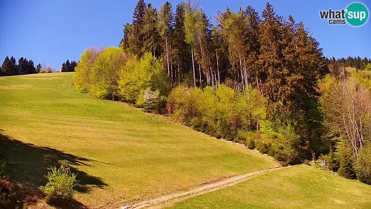 Stazione sciistica di Stari Vrh Webcam in diretta – Slovenia