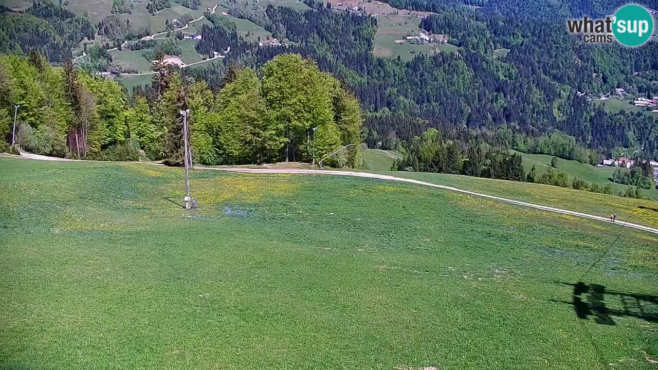Webcam en direct de la station de ski de Stari Vrh – Slovénie