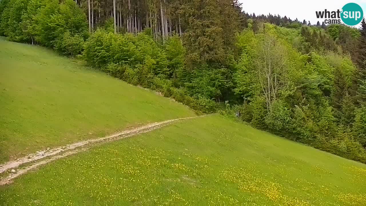 Webcam en direct de la station de ski de Stari Vrh – Slovénie