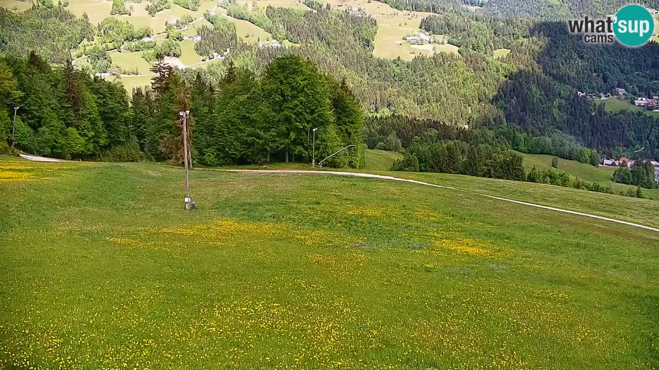 Estación de esquí Stari Vrh Cámara web en vivo – Eslovenia