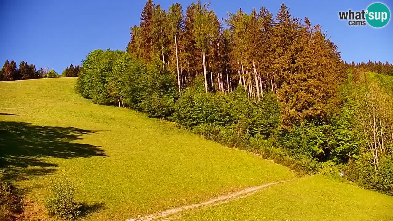 Skijalište Stari Vrh Web kamera uživo – Slovenija