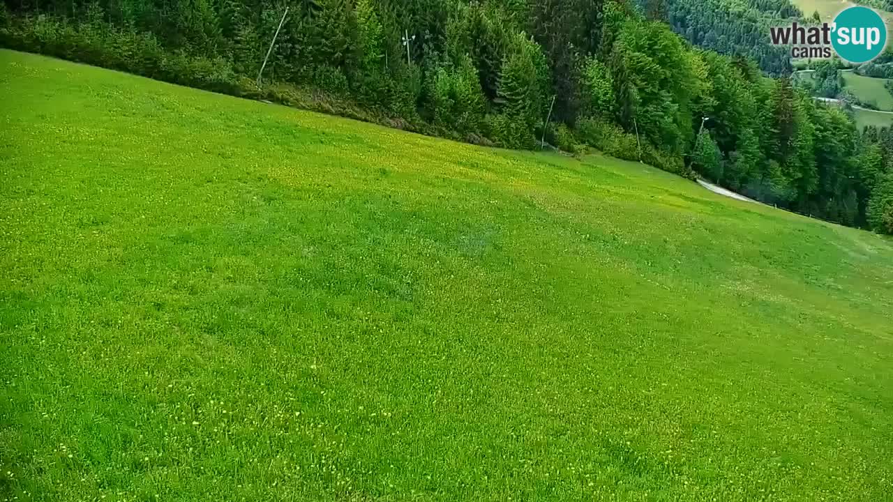 Stazione sciistica di Stari Vrh Webcam in diretta – Slovenia