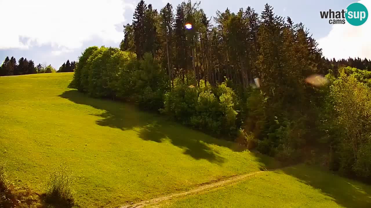 Skijalište Stari Vrh Web kamera uživo – Slovenija